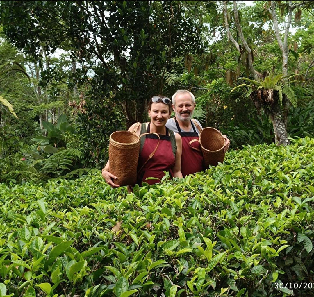 Dwan Tea Mountain Side Bed and Breakfast Jatiluwih Buitenkant foto