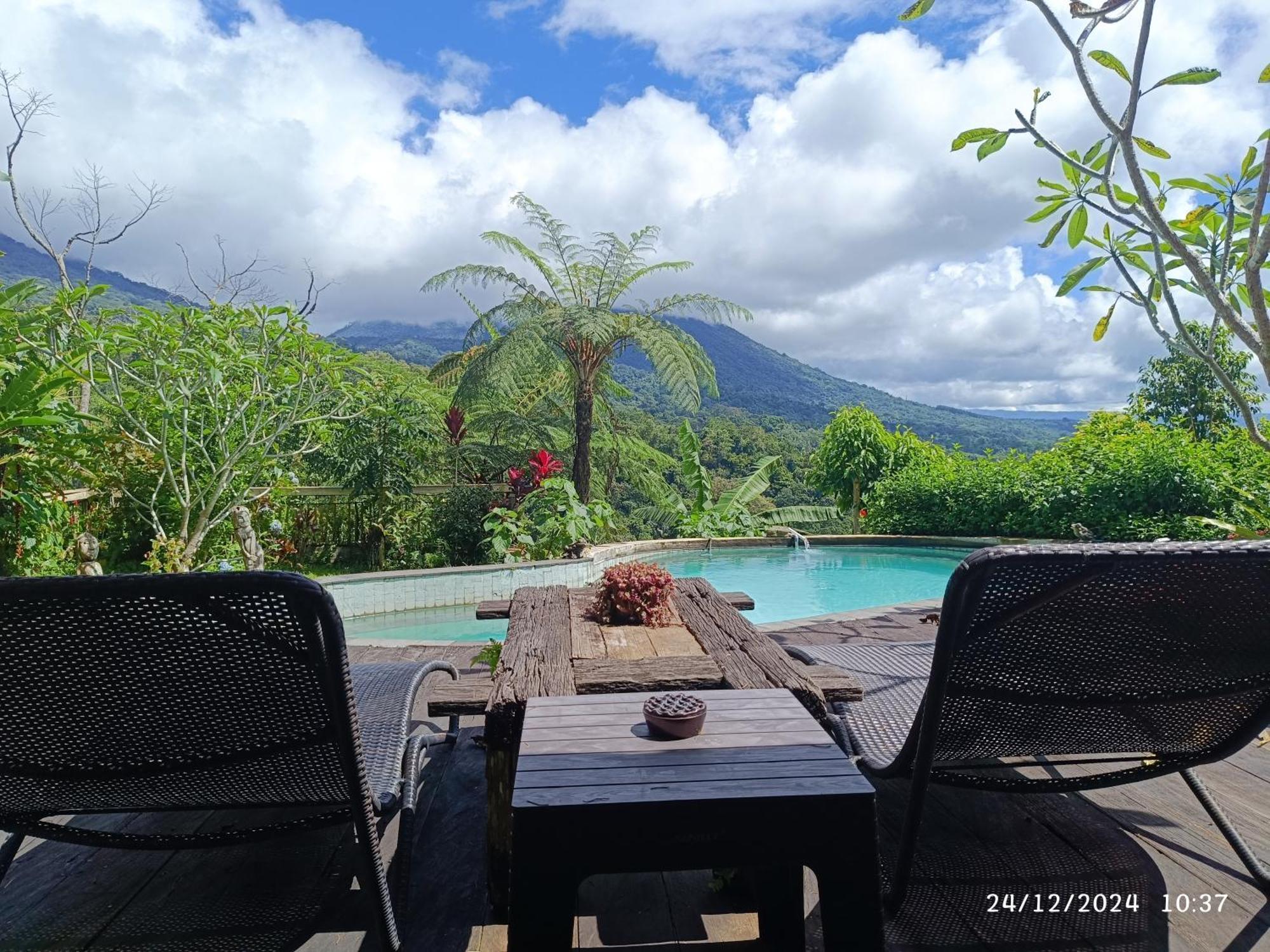 Dwan Tea Mountain Side Bed and Breakfast Jatiluwih Buitenkant foto