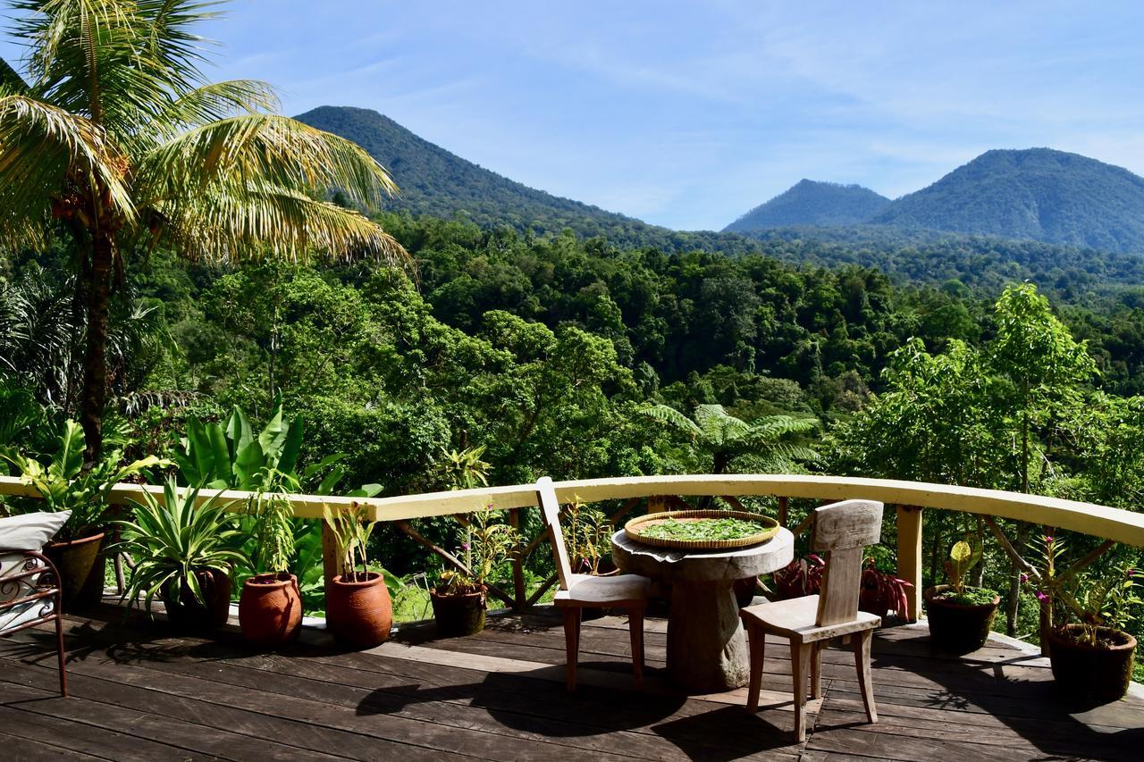 Dwan Tea Mountain Side Bed and Breakfast Jatiluwih Buitenkant foto