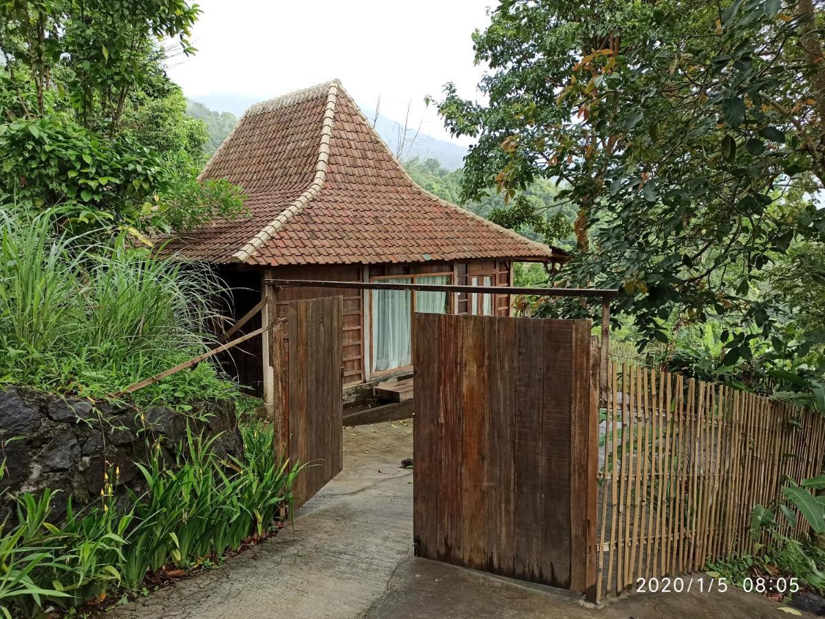 Dwan Tea Mountain Side Bed and Breakfast Jatiluwih Buitenkant foto